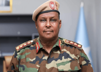 Implications of Appointment of New CDF in Somalia