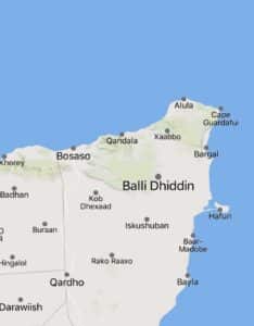 Islamic State IS-Somalia defections Balidhidin Puntland