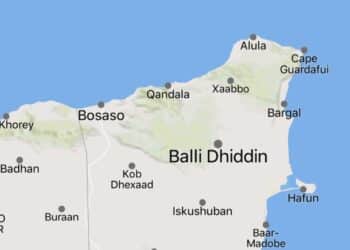 Islamic State IS-Somalia defections Balidhidin Puntland