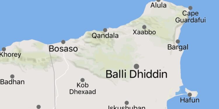 Islamic State IS-Somalia defections Balidhidin Puntland