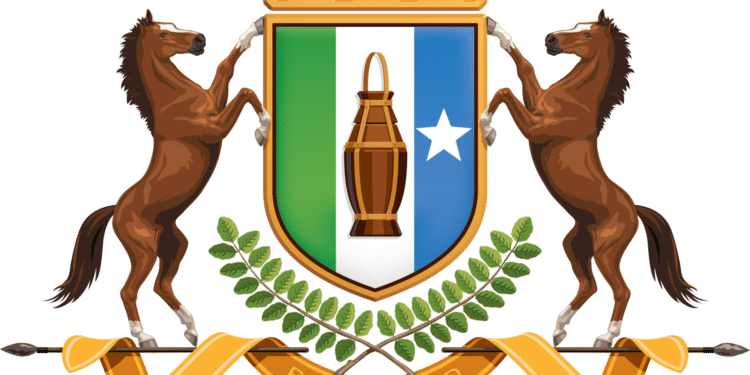 Puntland Government Proposes Comprehensive Solutions for State Building in Somalia