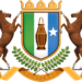 Puntland Government Proposes Comprehensive Solutions for State Building in Somalia