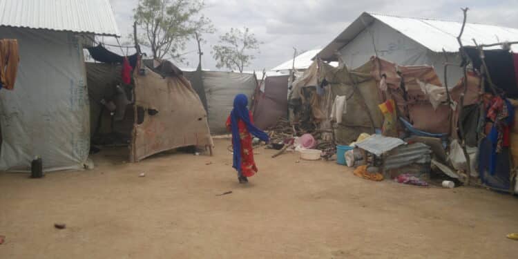 A quarter of Somalis have fled their homes