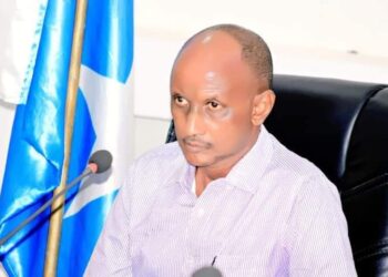Ali Jeyte issues his first “presidential” decrees, names commanders and officials