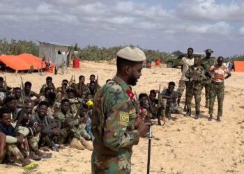 Al-Shabaab captured El Dher and Gal'ad