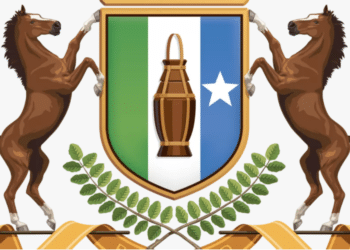 Peace negotiators or a party to the conflict? Former statesmen arrived in Garowe, Puntland