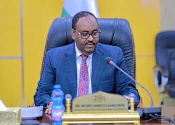 My goal is not to return as Puntland's President, says Deni