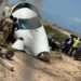 BREAKING: Plane crashes at Mogadishu airport