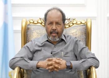 Operations against al-Shabaab will not stop, Somali President says