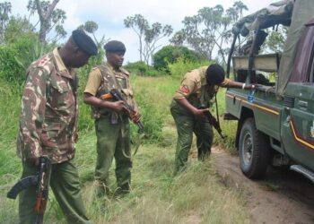 Al-Shabaab attacked IDP camp in Lamu
