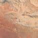 ONLINE: Somaliland has been virtually disarmed