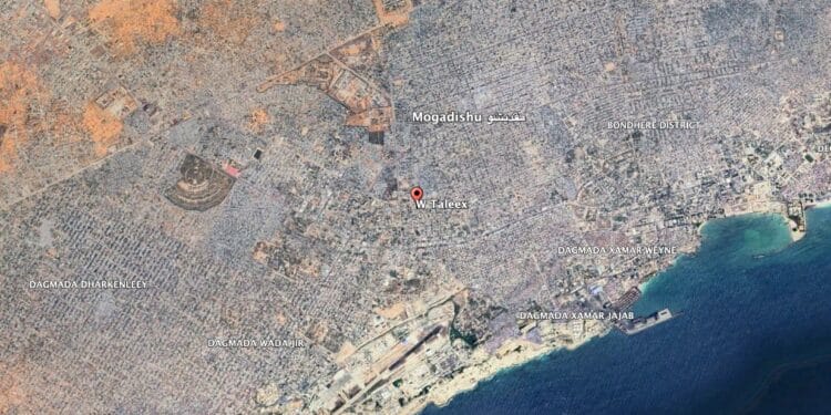 Suspected al-Shabaab assassinated a businessman in Mogadishu earlier today.