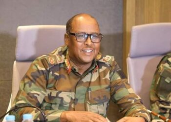 Frontline countries' fight against al-Shabaab unsure