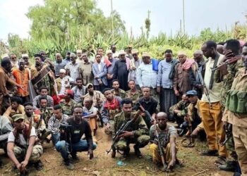 BREAKING: Gacan Libaah militia ceases military activities