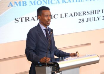Amid Somalia delicate diplomatic landscape, actions of three officials come under scrutiny