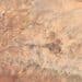 Confused Somaliland soldiers killed their own citizen