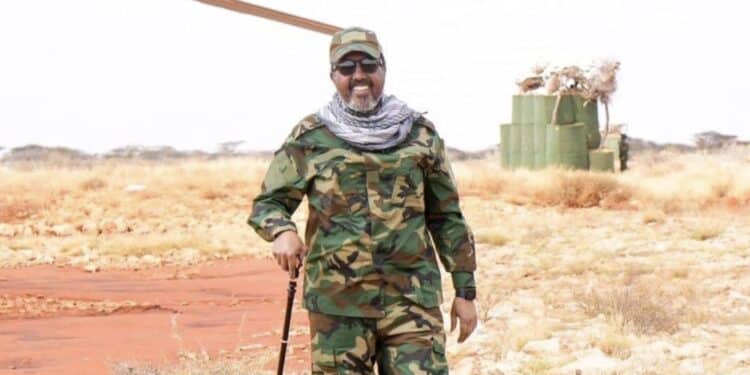 Hassan Sheikh in Mahaas to seek support from Hawadle
