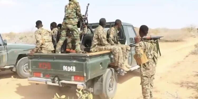 Somali government forces liberated Amaara in Mudug region