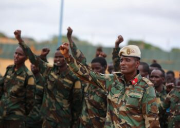 Al-Shabaab attacked Somali army in Awdheegle
