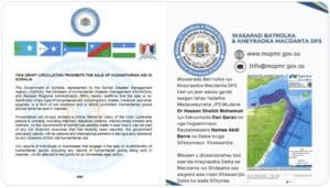 Puntland Minister: Somali Government shouldn't use Puntland flag
