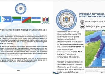 Puntland Minister: Somali Government shouldn't use Puntland flag