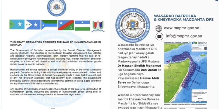 Puntland Minister: Somali Government shouldn't use Puntland flag