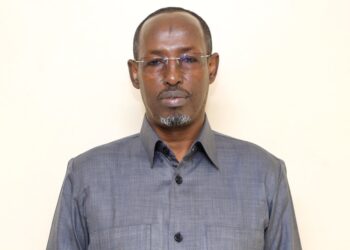 Populism at its best: Mogadishu Governor's ludicrous idea