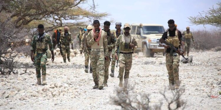 Contradictory accounts of a tragic incident near Dhuusamareeb