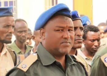 Al-Shabaab attack near Baidoa leaves police officers dead