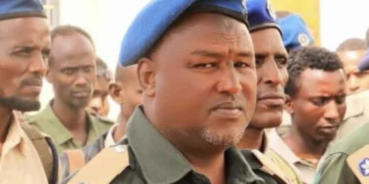 Al-Shabaab attack near Baidoa leaves police officers dead