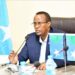 Hirshabelle President announced new ministerial appointments
