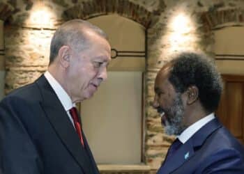 Somali and Turkish Presidents met to discuss critical issues