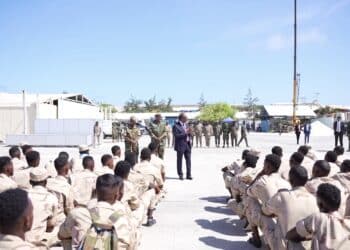 Eritrea–trained SNA troops granted leave to reunite with families