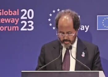 Somali President Hassan Sheikh Mohamud has appealed to the European Union (EU) to reconsider its approach in assisting Somalia and shift from providing humanitarian aid to helping with sustainable development projects