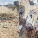 IED explosion killed two al-Shabaab logisticians