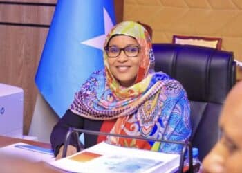 Somali Ministry of Transport issued strict guidelines for vehicle sale