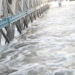 Shabelle River Beledweyne Flood Hiran Somalia