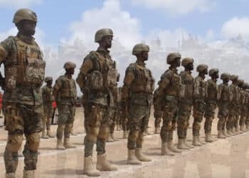 Danab Forces