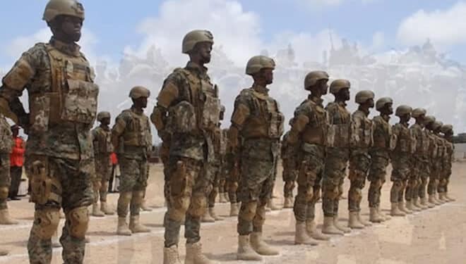 Danab Forces