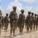 Danab Forces