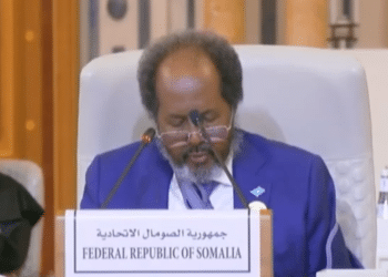 Hassan Sheikh Mohamud Somalia