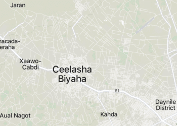 Islamic State Somalia Al-Shabaab Attack