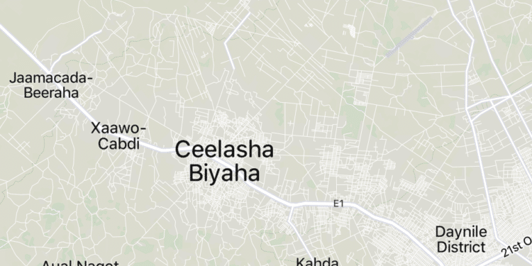 Islamic State Somalia Al-Shabaab Attack