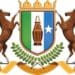 Puntland Somalia Ethiopia consulate