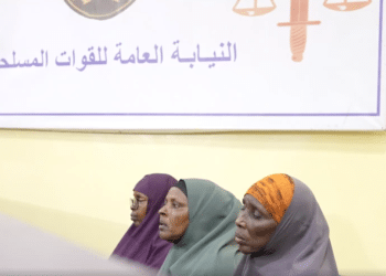 Al-Shabab Infiltrators