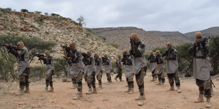 IS-Somalia