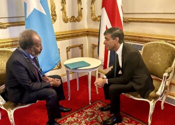 Somalia Arms Embargo Hassan Sheikh Mohamud