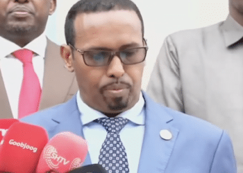 Somalia Constitutional Politics