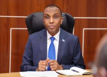 Somalia Prime Minister Hamza Abdi Barre Mogadishu Somalia