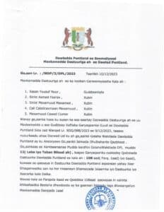 Puntland Constitutional Court